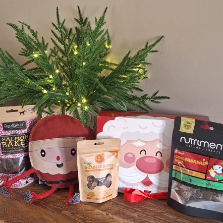 Christmas Box